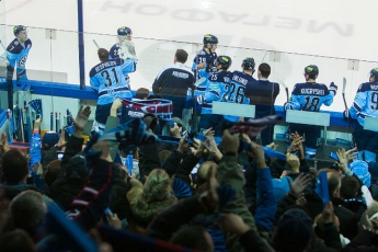 В России полиция оконфузилась во время хоккейного матча