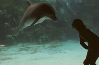 Девочка рассмешила дельфина в аквапарке (видео)