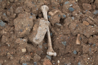 Предполагают, что останки, найденные на территории военной части, принадлежат солдатам времен ВОВ