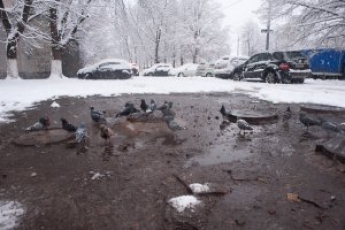 На Крещение в Украине мокрый снег с дождем