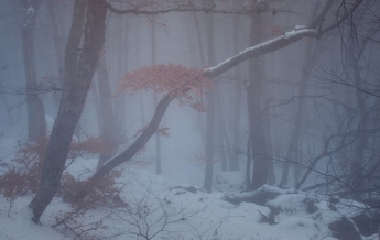 Украину накроют туман и мокрый снег