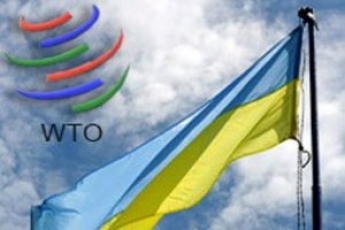 Украина во второй раз попытается поднять импортные пошлины в рамках ВТО