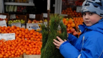 Украинцы не могут позволить себе цитрусовые: цены с прошлого года выросли почти на 80%