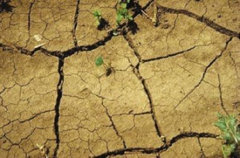 США ожидает самая сильная за последнее тысячелетие засуха