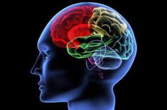 Ученые утверждают, что возраст не влияет на нейронную активность мозга