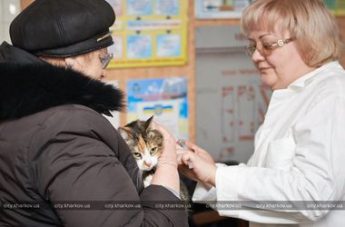 В Харькове ищут укушенных людей: из-за бешеного кота умер подросток