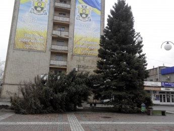 Ели, поваленные ураганом, коммунальщики обещают реанимировать (фото)