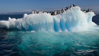 В Антарктиде — рекордное потепление