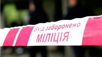 В Киеве директор театра кукол жестоко убил человека, — СМИ