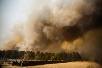 На Забайкалье площадь лесных пожаров увеличилась до 118 тыс. гектаров