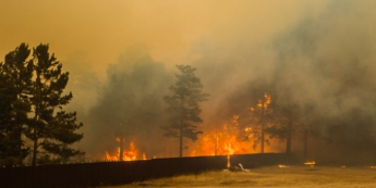 На Забайкалье площадь лесных пожаров достигла 195 тыс. гектаров