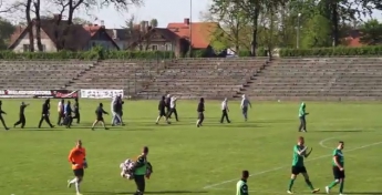 В Польше на футбольном матче полицейские убили фаната (видео)