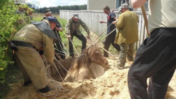 Спасатели вытащили из канализации коня