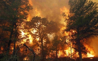Площадь лесных пожаров в Бурятии за выходные увеличилась до 7 тыс. га