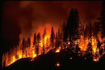 В канадской провинции Альберта из-за лесных пожаров эвакуировали 5 тыс. человек