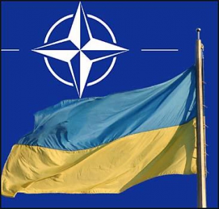 Минобороны Украины утвердило первые два стандарта НАТО