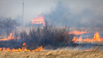 В Бурятии полностью локализованы все лесные пожары