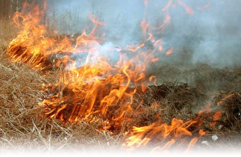 В Украине 13-14 июня ожидается высокий уровень пожарной опасности, - Укргидрометцентр