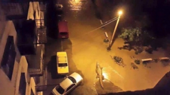 В Тбилиси наводнение, погибли 8 человек. Из затопленного зоопарка разбежались звери (фото)