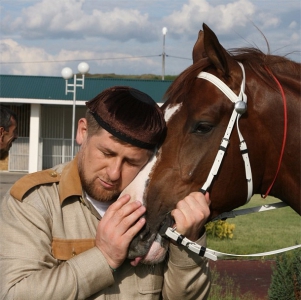 В Чехии под санкции попали лошади Кадырова