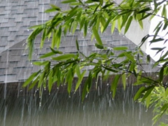 Июнь-2015 рекорды с дождями и прохладой не побил