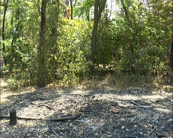 Из-за посетителей чуть не сгорел городской парк (фото)