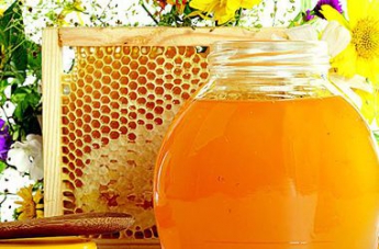 Полезный мед: 10 необычных свойств сладкого лекарства