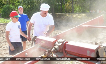 Как Лукашенко копал картофель (фото, видео)