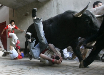 В Испании жертвами забегов быков стали семь человек