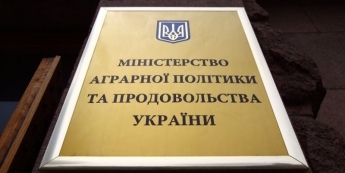 Экспорт украинского продовольствия в РФ снизился на 80%, - Минагрополитики