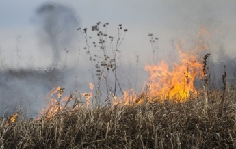 За минувшие сутки в Украине произошло 292 пожара, - ГосЧС