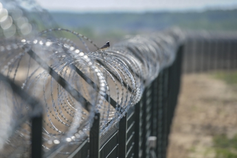 Венгрия построила на границе с Сербией забор с колючей проволокой от мигрантов