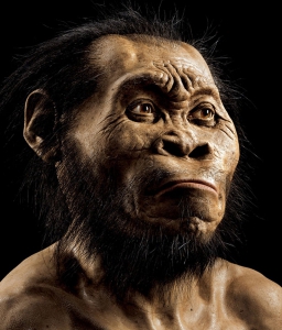 Ученые выяснили, как выглядел древний человек