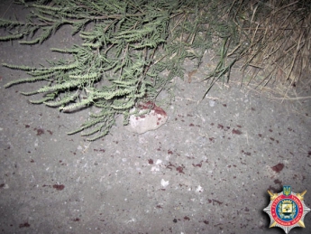 В Донецкой обл. парень убил мужчину, разбив его голову 2 шлакоблоками (фото)