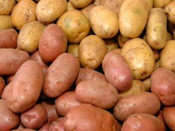 Диетологи рассказали, как правильно готовить картошку, чтобы не поправиться