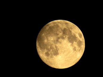 NASA: На следующей неделе жители Земли смогут наблюдать редкое лунное затмение (видео)