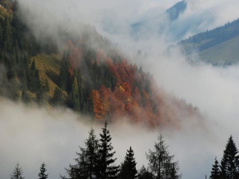 ГосЧС предупреждает о тумане на западе Украины 28 октября