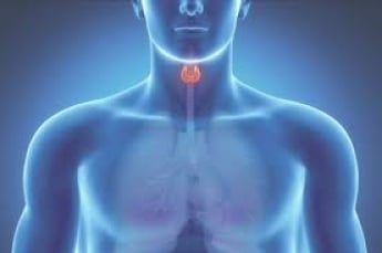 Как вовремя обнаружить сбой щитовидной железы