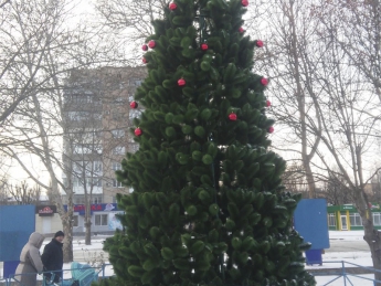 С новогодней елки на "Победе" пропали шарики (фото)