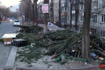 Запорожским предпринимателям выпишут штраф за брошенные елки
