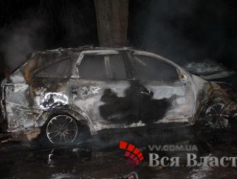 В Запорожье дотла сгорел автомобиль (видео, фото)