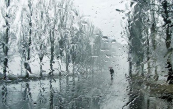 Сегодня в Украине - плюсовая температура с дождями