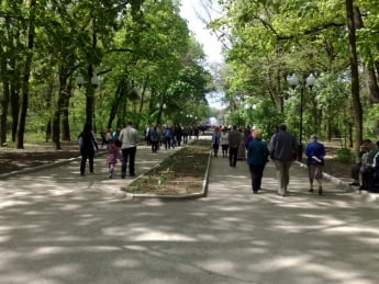 Программу по озеленению города Оппоблок с первого раза "завалил"