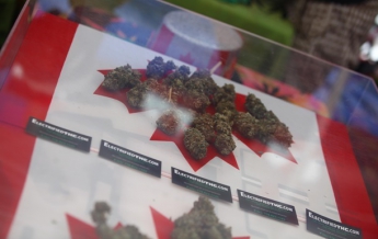 В Канаде хотят легализовать марихуану