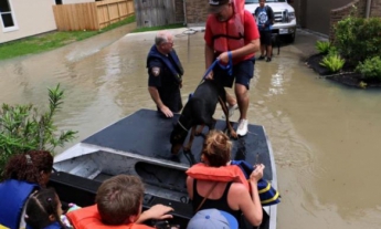 В США из-за наводнений погибли по меньшей мере восемь человек (фото)