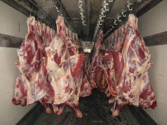 Польша получила разрешение на ввоз говядины в Украину