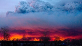 В Канаде из-за лесных пожаров упала добыча нефти