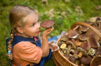 Семья в Запорожской области отравилась грибами из своего сада