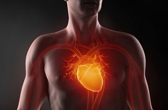 Как улучшить работу сердца