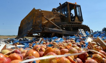 В Мелитополе уничтожили три тонны овощей